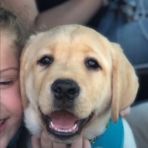 Meet your Posher, Jessica